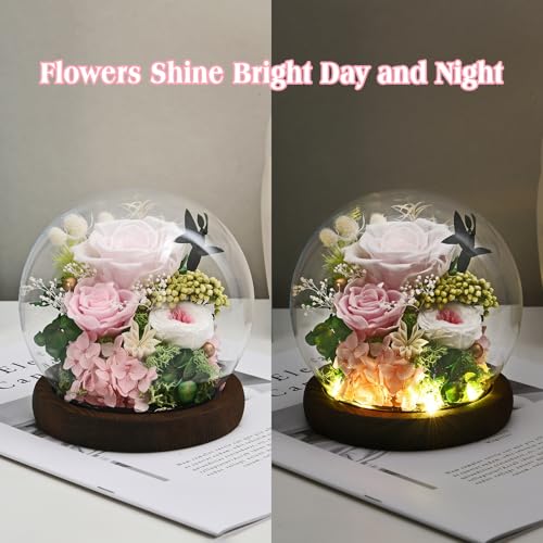 Rose in Glass Dome with LED Light - Gifts for Women Mom Grandma L94341