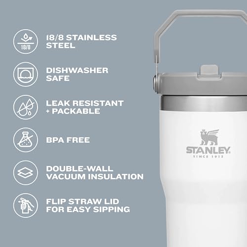 Stanley IceFlow Flip Straw Tumbler 30 oz Insulated Stainless Steel Lilac Z941193