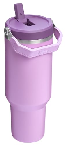 Stanley IceFlow Flip Straw Tumbler 30 oz Insulated Stainless Steel Lilac Z941193