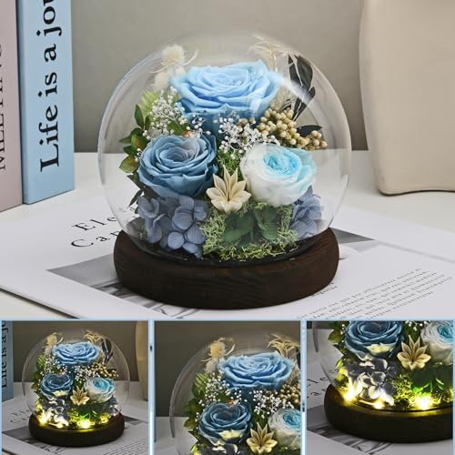 Rose in Glass Dome with LED Light - Gifts for Women Mom Grandma L94341
