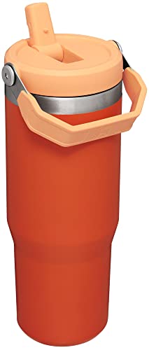 Stanley IceFlow Flip Straw Tumbler 30 oz Insulated Stainless Steel Lilac Z941193