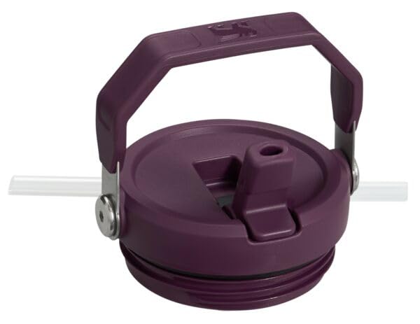 Stanley IceFlow Flip Straw Tumbler 30 oz Insulated Stainless Steel Lilac Z941193