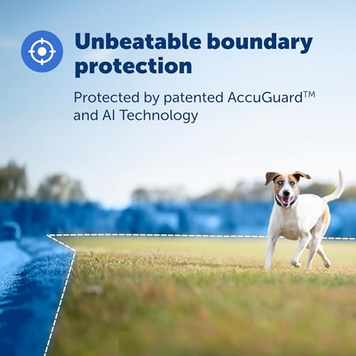 PetSafe Guardian GPS + Tracking Dog Fence Collar, Waterproof Rechargeable, Blue Grey I5356