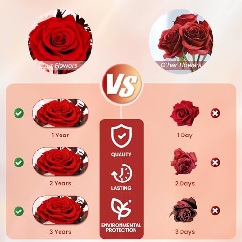 Forever Preserved Real Roses in Glass Dome with LED Lights R15984