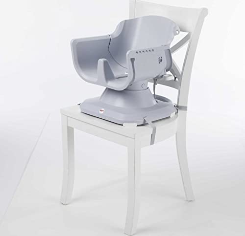 Fisher-Price Baby to Toddler High Chair SpaceSaver Portable Booster Seat with Washable Tray, Windmill E548