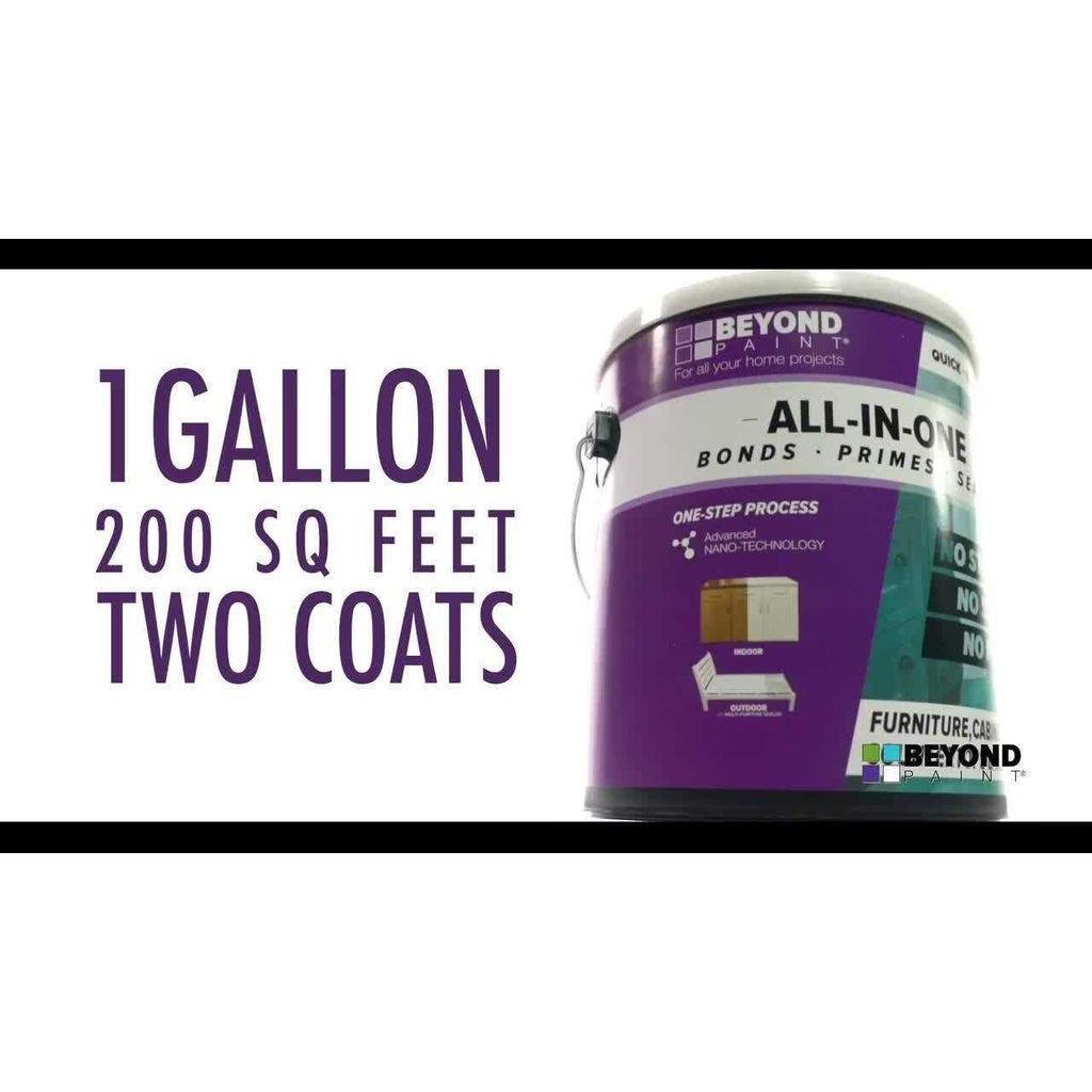Beyond Paint 1 All-in-One Paint Y10895