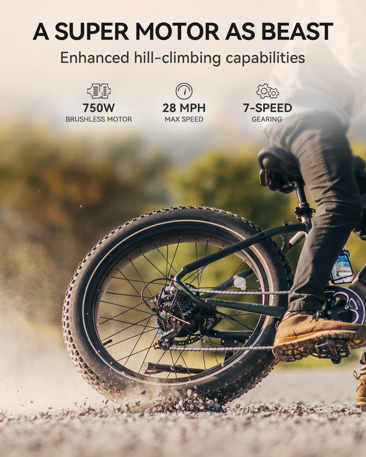 Heybike Brawn Electric Bike for Adults, 750W Fat Tire, 48V 18Ah Removable Battery Y439