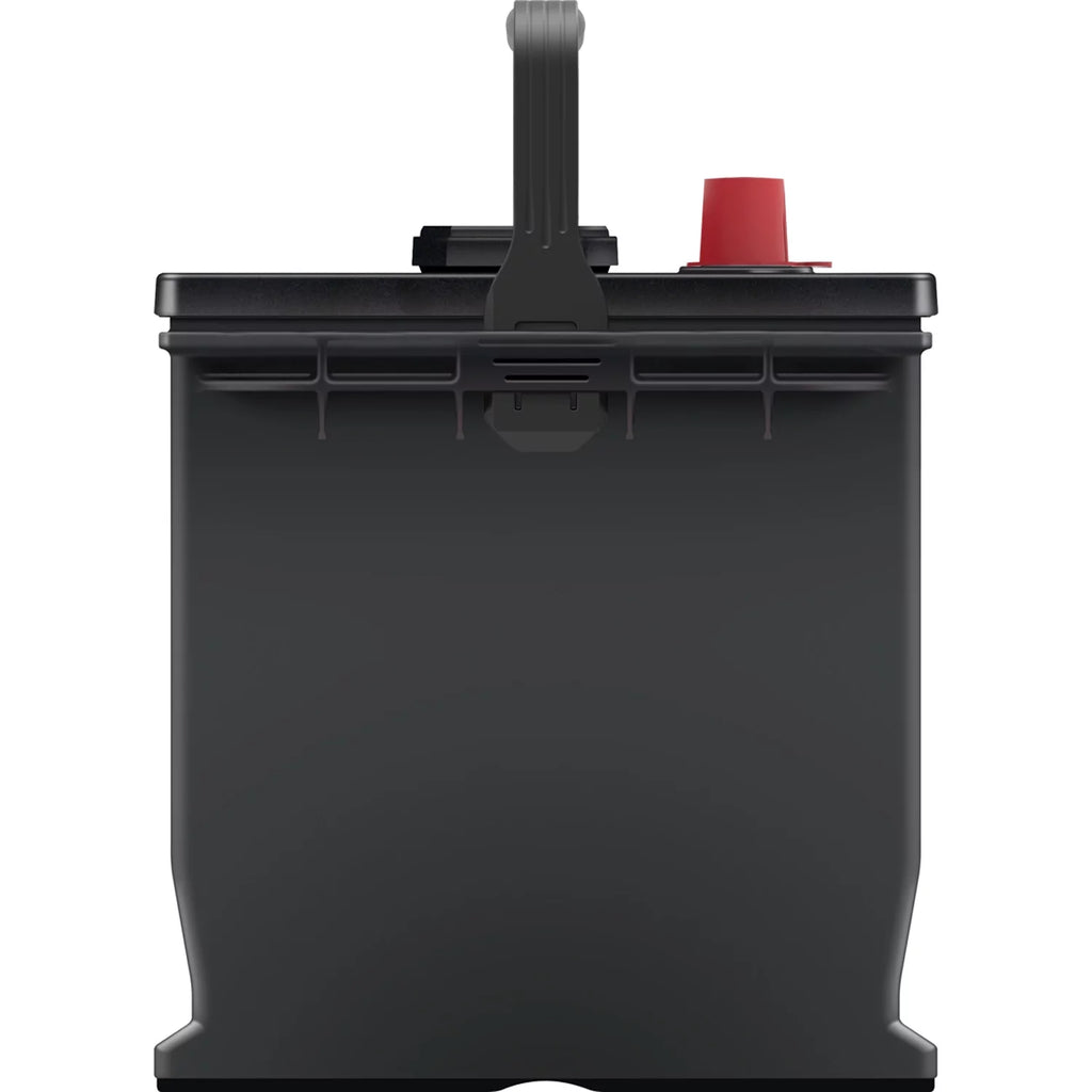 EverStart Plus Lead Acid Automotive Battery Group Size 65 12V 750 CCA X3922