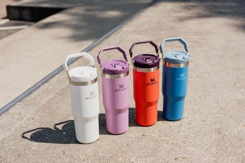 Stanley IceFlow Flip Straw Tumbler 30 oz Insulated Stainless Steel Lilac Z941193