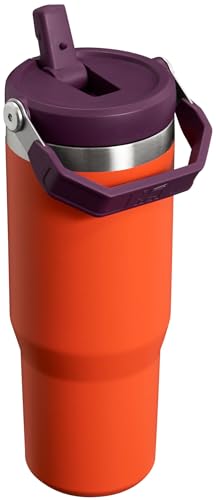 Stanley IceFlow Flip Straw Tumbler 30 oz Insulated Stainless Steel Lilac Z941193