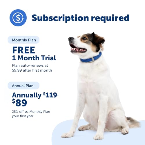 PetSafe Guardian GPS + Tracking Dog Fence Collar, Waterproof Rechargeable, Blue Grey I5356
