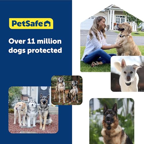 PetSafe Guardian GPS + Tracking Dog Fence Collar, Waterproof Rechargeable, Blue Grey I5356