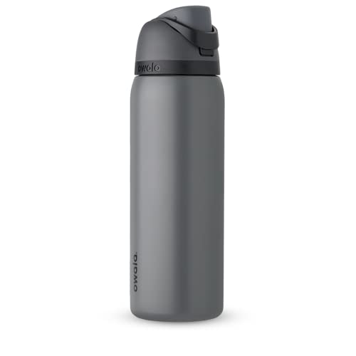 Owala FreeSip Insulated Stainless Steel Water Bottle with Straw, 24-oz, Gray V6502