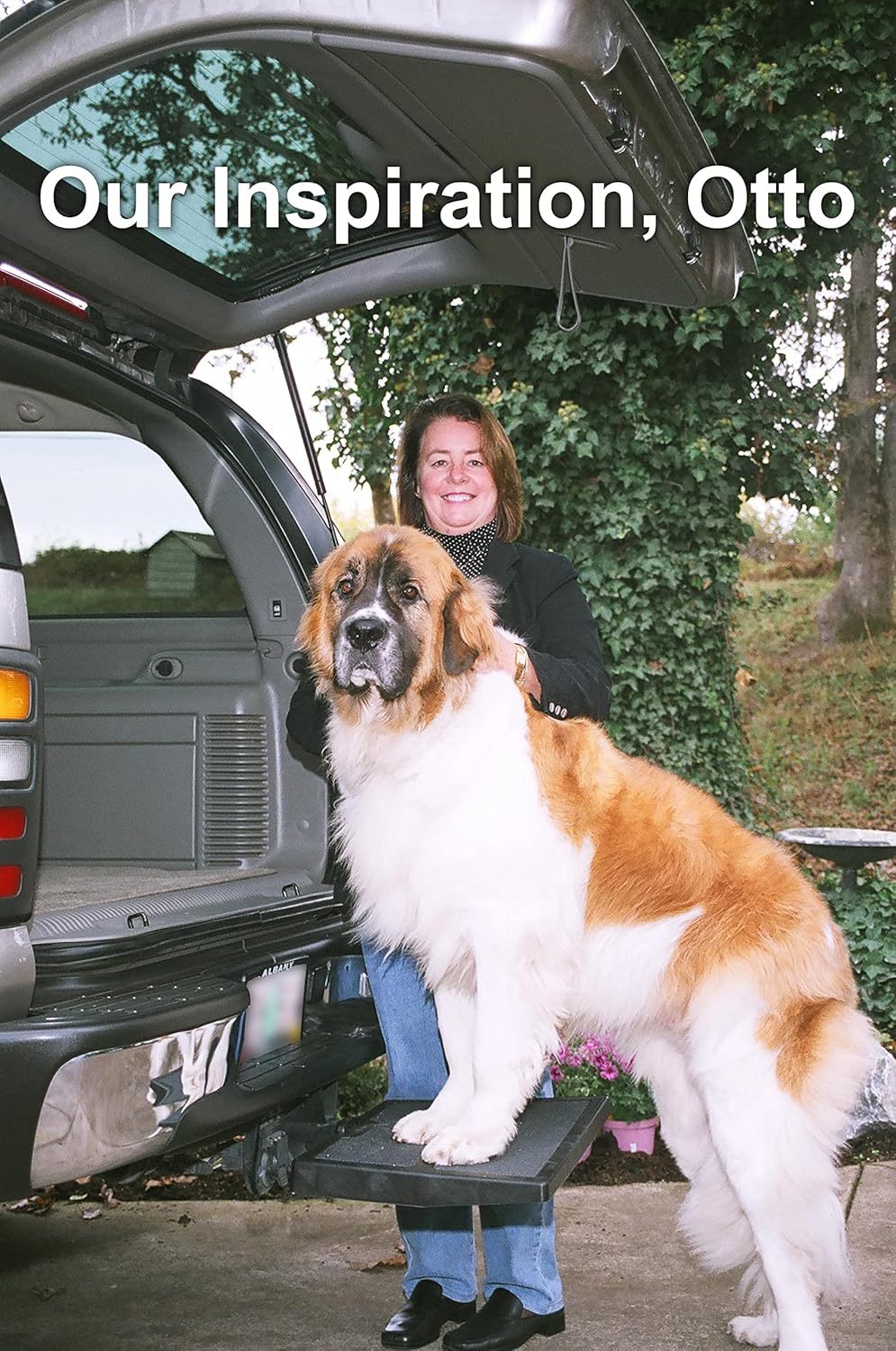 Otto Step Pet Ramp for Dogs Car Van SUV Portable Lightweight X411468
