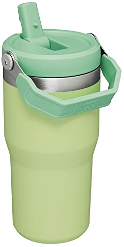 Stanley IceFlow Flip Straw Tumbler 30 oz Insulated Stainless Steel Lilac Z941193