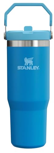Stanley IceFlow Flip Straw Tumbler 30 oz Insulated Stainless Steel Lilac Z941193