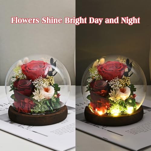 Rose in Glass Dome with LED Light - Gifts for Women Mom Grandma L94341