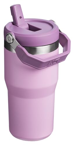 Stanley IceFlow Flip Straw Tumbler 30 oz Insulated Stainless Steel Lilac Z941193
