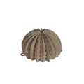 Desert Steel 300-010V 9x22 x 13x22 Outdoor Landscape Metal Art Golden Barrel Cactus Verdigris Patina