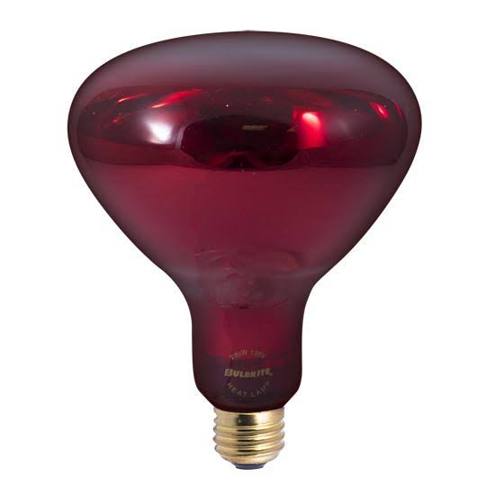 Bulbrite Incandescent (INC) BR40 250W Dimmable Red Heat Lamp Light Bulb, 6 Pack (714125)