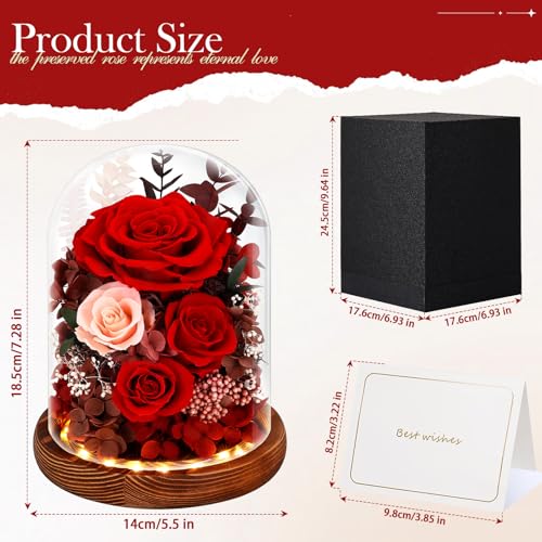 Forever Preserved Real Roses in Glass Dome with LED Lights R15984