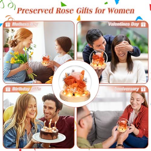 Preserved Real Rose in Glass Dome with LED Light for Women D176155