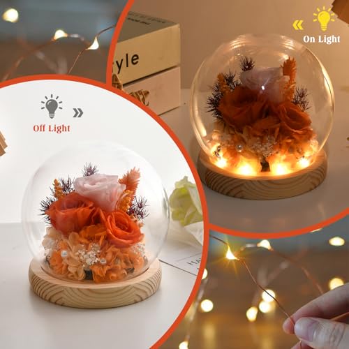 Preserved Real Rose in Glass Dome with LED Light for Women D176155