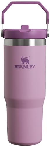 Stanley IceFlow Flip Straw Tumbler 30 oz Insulated Stainless Steel Lilac Z941193