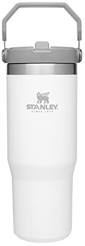 Stanley IceFlow Flip Straw Tumbler 30 oz Insulated Stainless Steel Lilac Z941193