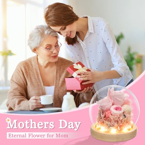 Preserved Real Rose in Glass Dome with LED Light for Women D176155