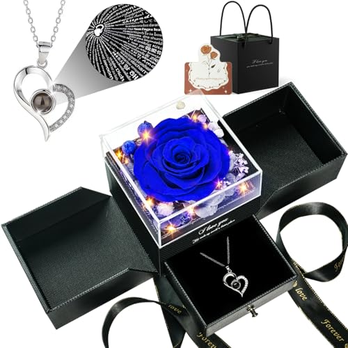 Preserved Real Rose Heart Necklace for Mom Women N8481