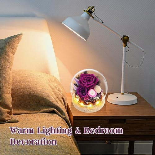 Preserved Real Rose in Glass Dome with LED Light for Women D176155