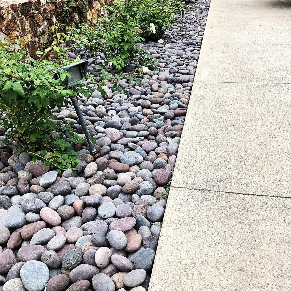 Mexican Beach Pebbles 40 lbs Smooth Round Stones for Gardens, Landscape, Ponds, and Décor A11864