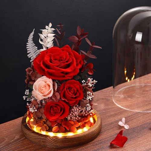 Forever Preserved Real Roses in Glass Dome with LED Lights R15984