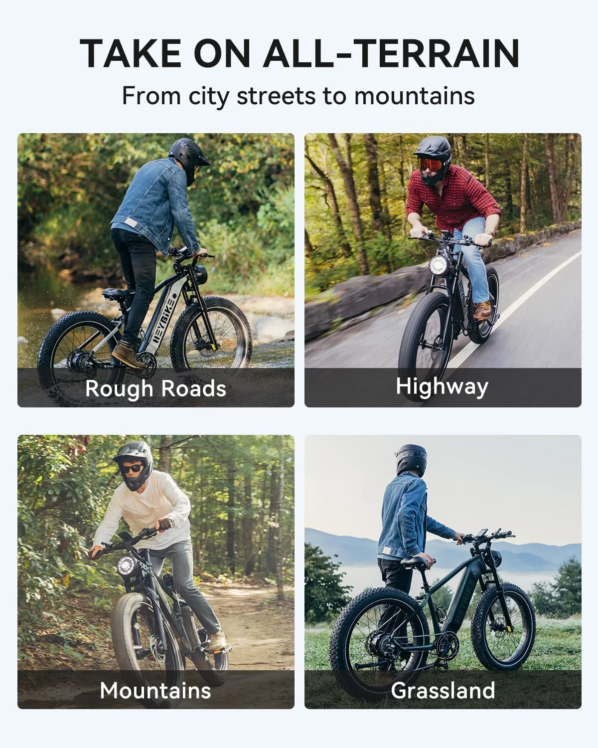 Heybike Brawn Electric Bike for Adults, 750W Fat Tire, 48V 18Ah Removable Battery Y439