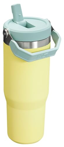 Stanley IceFlow Flip Straw Tumbler 30 oz Insulated Stainless Steel Lilac Z941193