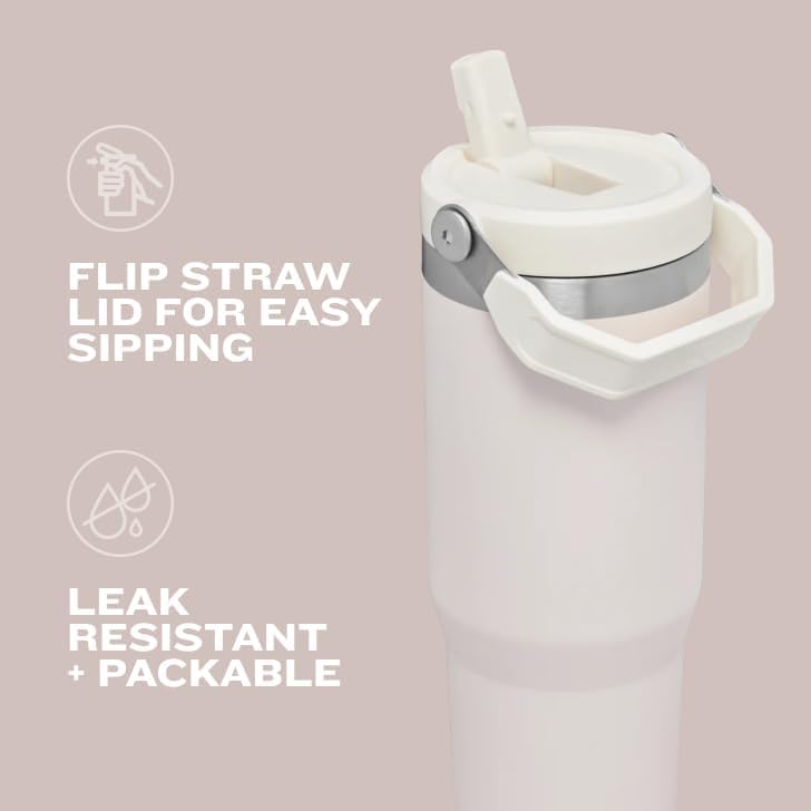 Stanley IceFlow Flip Straw Tumbler 30 oz Insulated Stainless Steel Lilac Z941193
