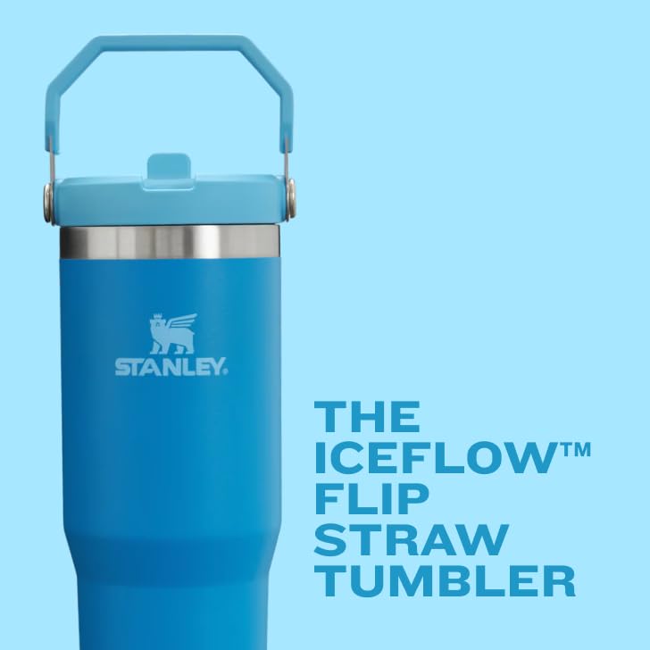 Stanley IceFlow Flip Straw Tumbler 30 oz Insulated Stainless Steel Lilac Z941193