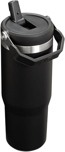 Stanley IceFlow Flip Straw Tumbler 30 oz Insulated Stainless Steel Lilac Z941193