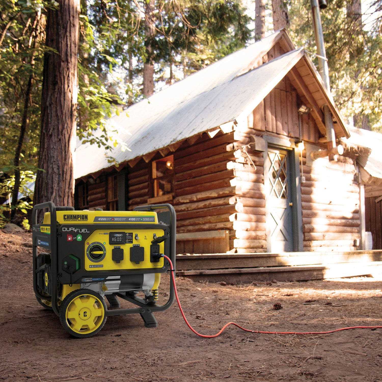 Champion Power Equipment 3650W Dual Fuel Generator X870345