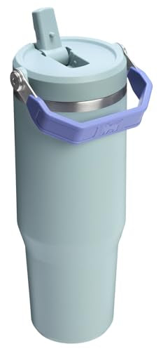 Stanley IceFlow Flip Straw Tumbler 30 oz Insulated Stainless Steel Lilac Z941193