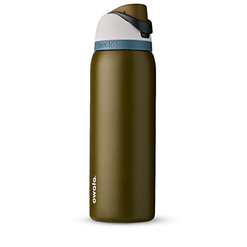 Owala FreeSip Insulated Stainless Steel Water Bottle with Straw, 24-oz, Gray V6502