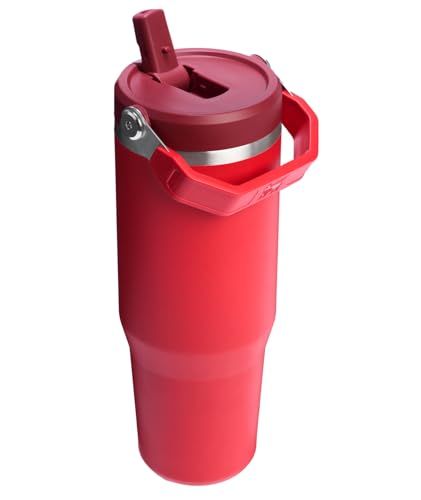 Stanley IceFlow Flip Straw Tumbler 30 oz Insulated Stainless Steel Lilac Z941193
