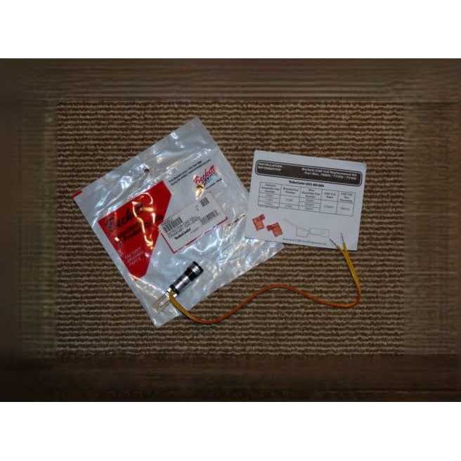 Beckett 7006U Cad Cell Eye and Leads A74108
