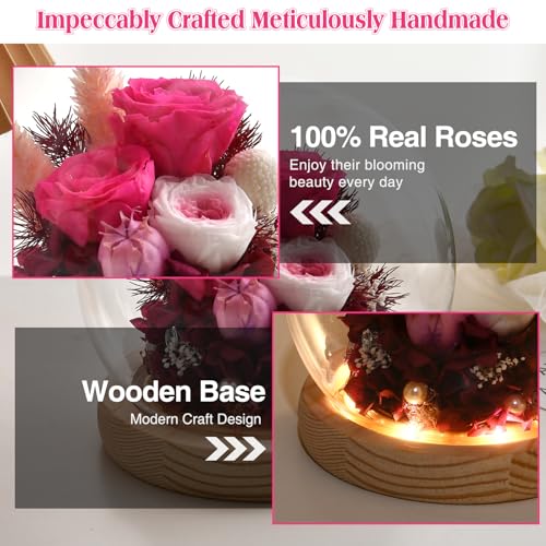 Preserved Real Rose in Glass Dome with LED Light for Women D176155
