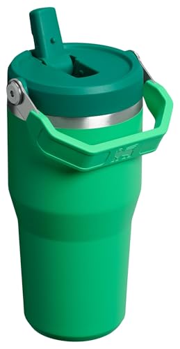 Stanley IceFlow Flip Straw Tumbler 30 oz Insulated Stainless Steel Lilac Z941193