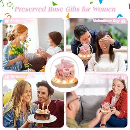 Preserved Real Rose in Glass Dome with LED Light for Women D176155