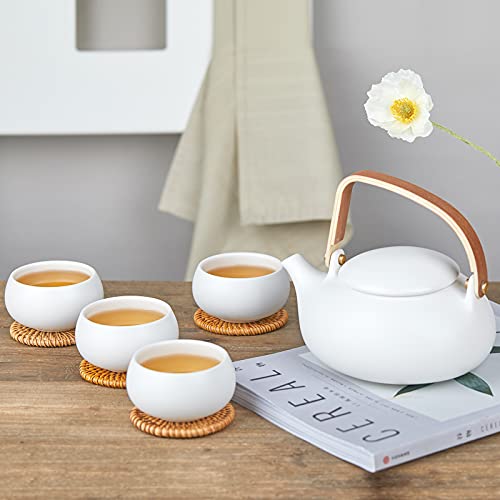 ZENS Modern Japanese Tea Set 27 oz Ceramic Teapot with 4 Cups F3504