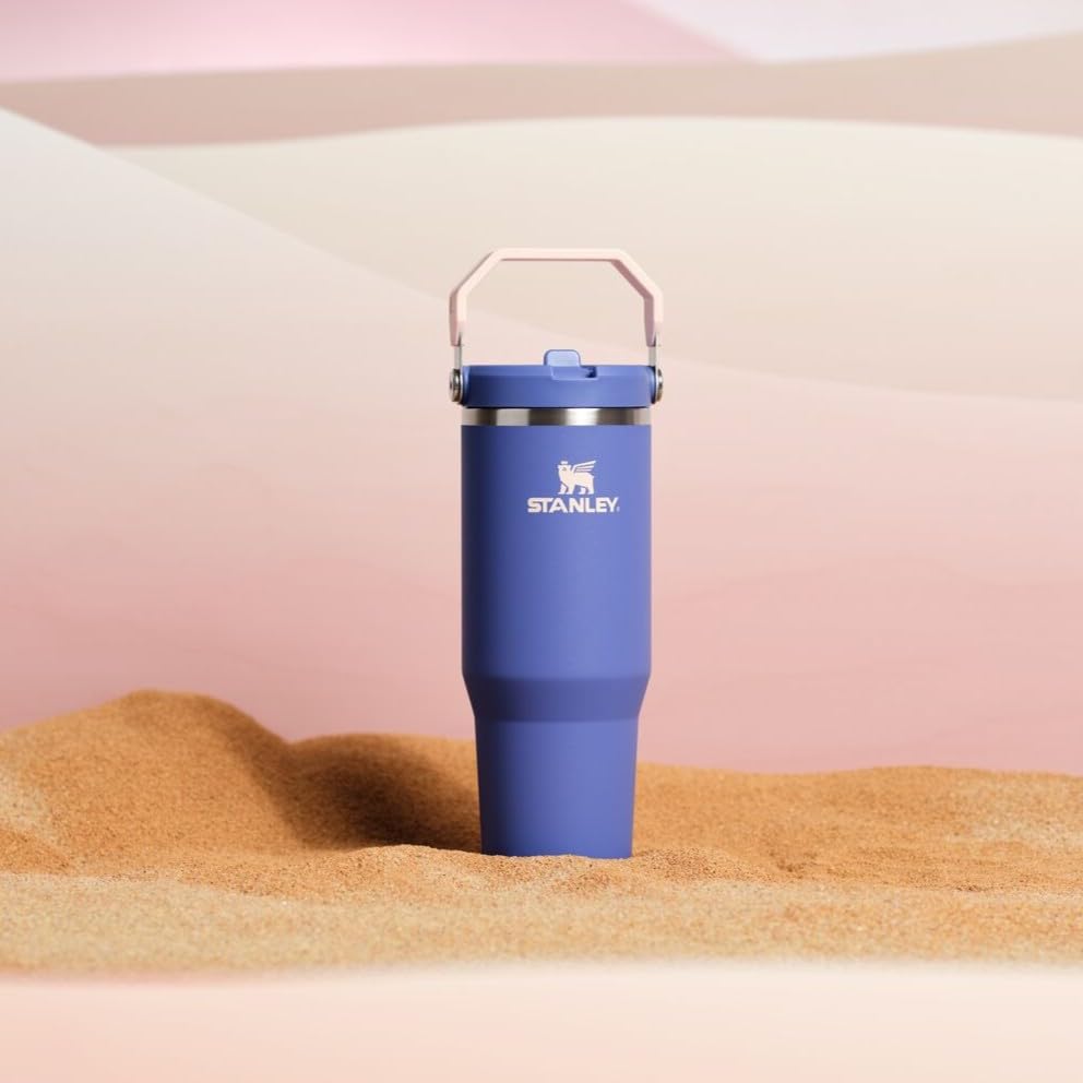 Stanley IceFlow Flip Straw Tumbler 30 oz Insulated Stainless Steel Lilac Z941193