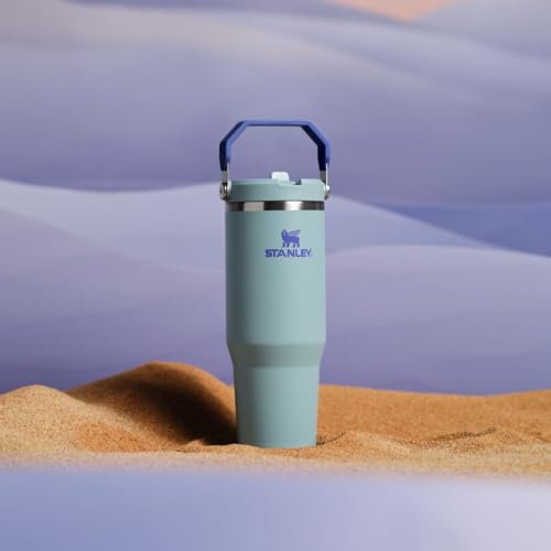 Stanley IceFlow Flip Straw Tumbler 30 oz Insulated Stainless Steel Lilac Z941193